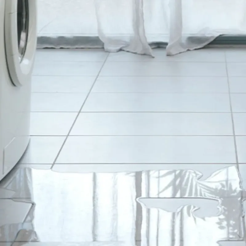 Appliance Leak Cleanup in Rancho Cordova, CA