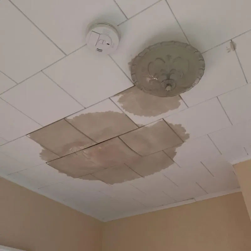 Ceiling Water Damage Repair in Rancho Cordova, CA